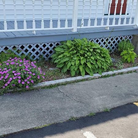 Hillside B&B Twillingate Exterior photo
